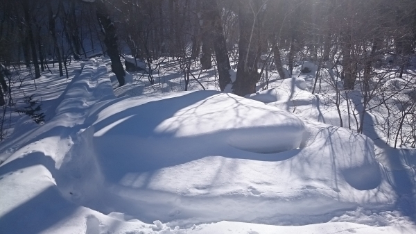 DSC_5455.JPG