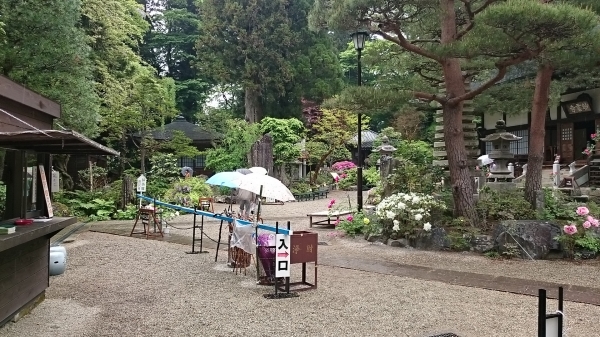 DSC_5965.JPG