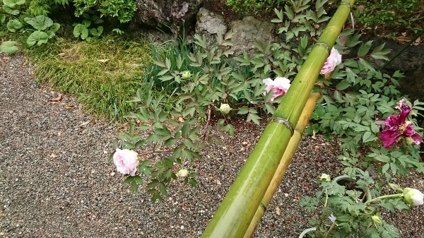 DSC_5969.JPG