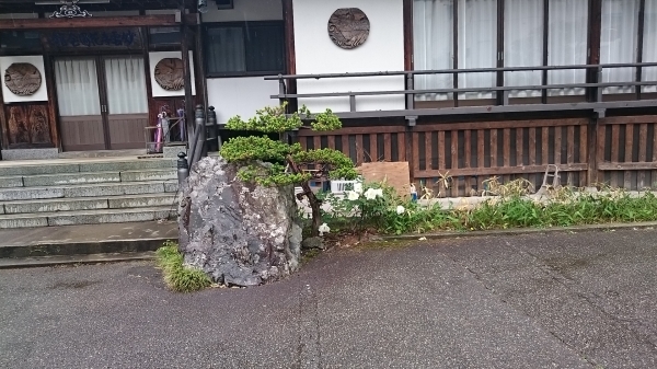 DSC_5971.JPG