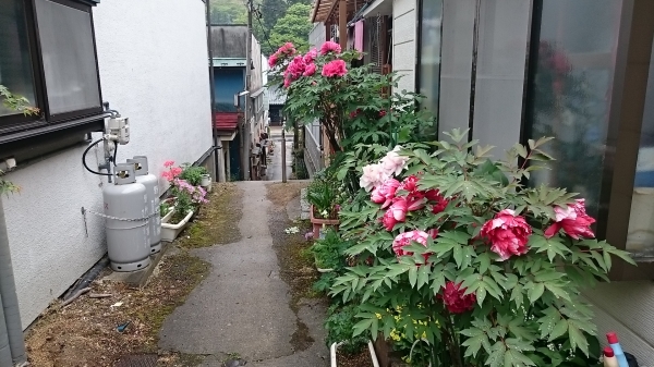DSC_5974.JPG