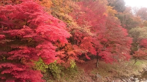 DSC_1226.JPG