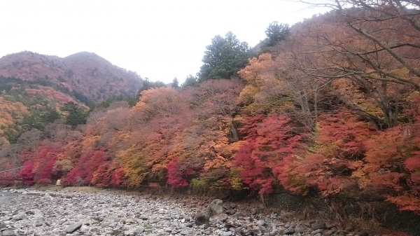 DSC_1235.JPG