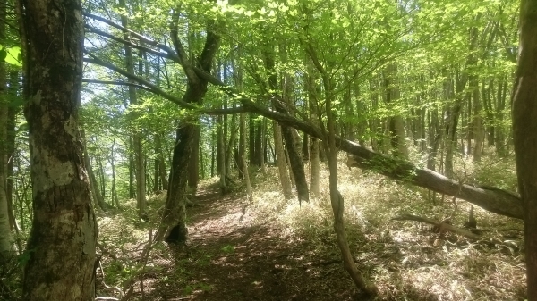 DSC_2484.JPG