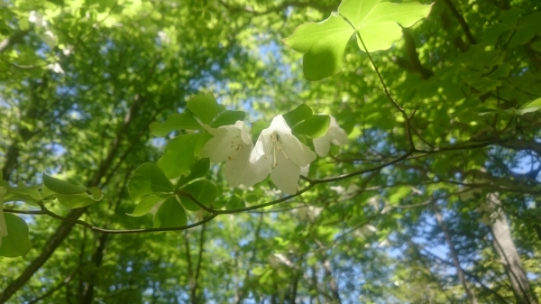 DSC_2526.JPG