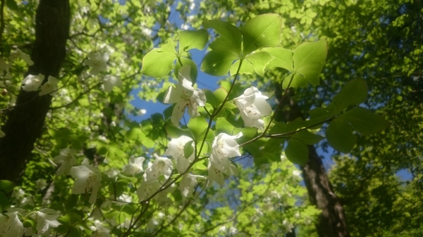 DSC_2535.JPG