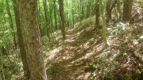 DSC_2550.JPG