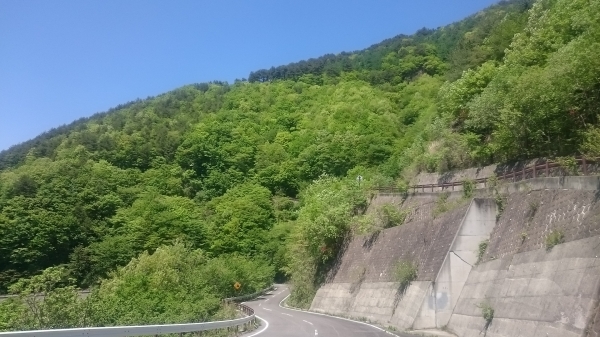 DSC_2553.JPG
