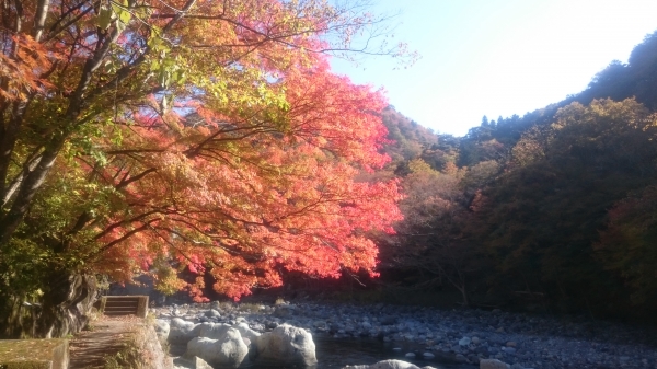 DSC_3290.JPG