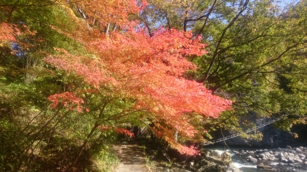 DSC_3292.JPG