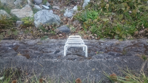 DSC_3294.JPG