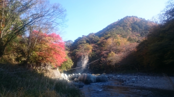 DSC_3295.JPG