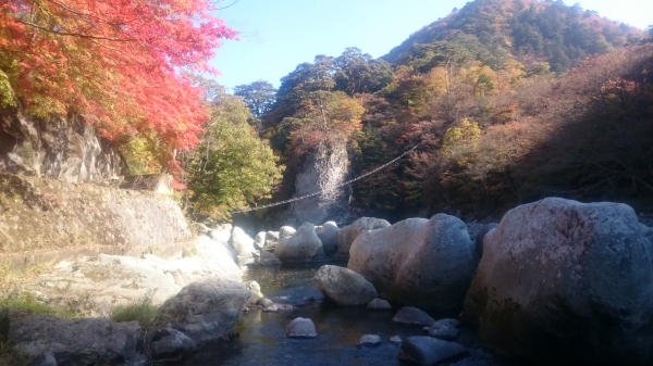 DSC_3299.JPG