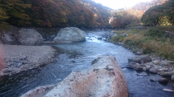 DSC_3301.JPG