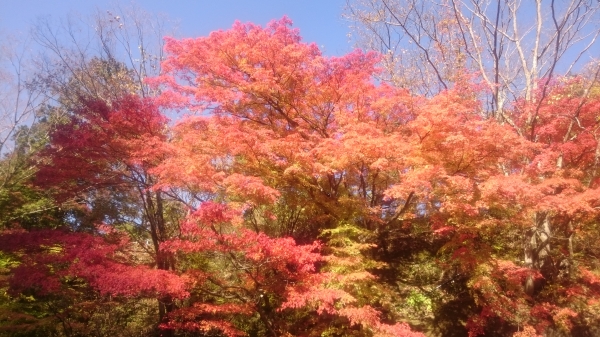 DSC_3302.JPG
