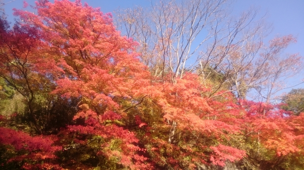 DSC_3303.JPG