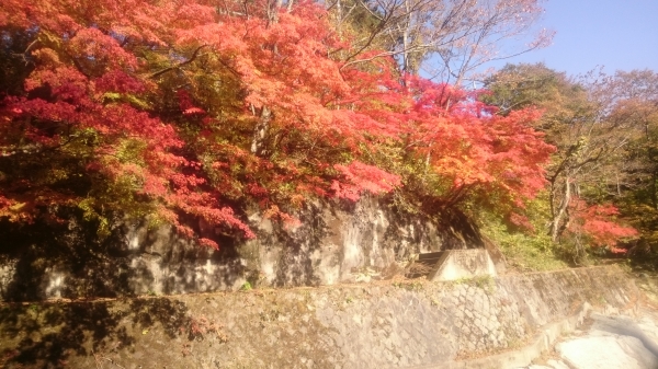 DSC_3304.JPG