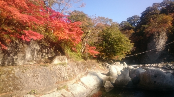 DSC_3305.JPG