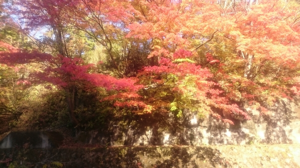 DSC_3306.JPG