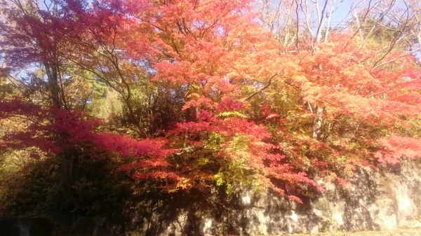 DSC_3307.JPG
