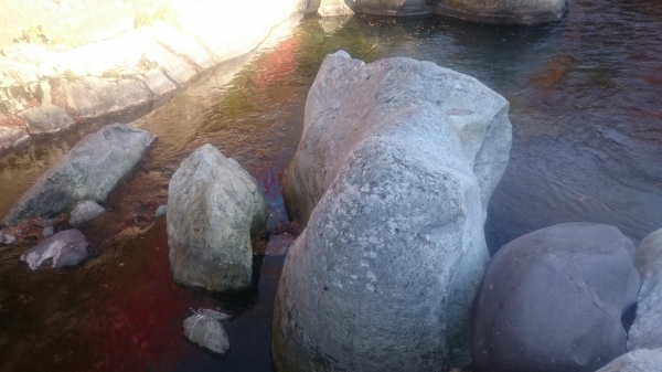 DSC_3309.JPG