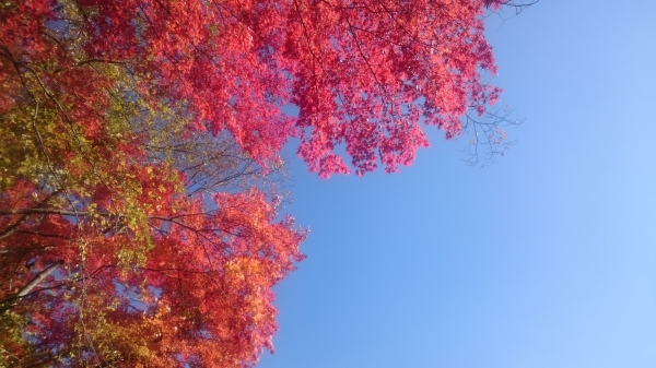 DSC_3315.JPG