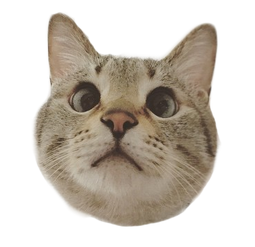 ネムやん