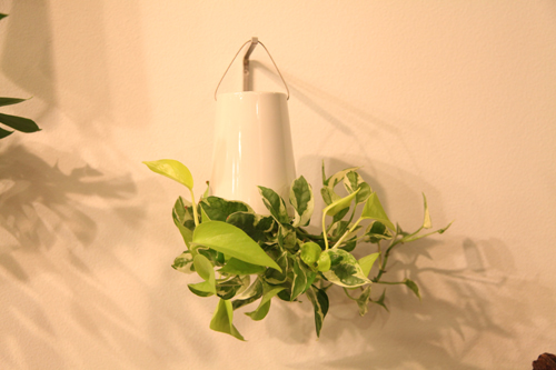 SKYPLANTER / スカイプランター