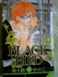 12巻 Black Bird 夢路をたどる時空