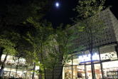代官山蔦谷書店