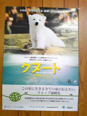 映画「クヌート」のポスター