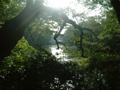 inokashira