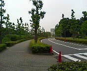 0613