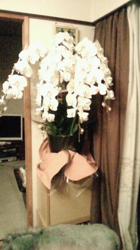 2013042019100000.jpg