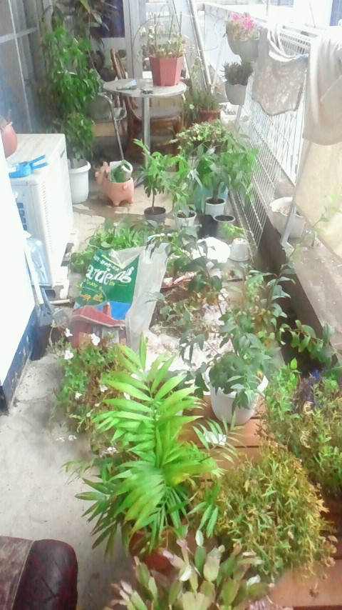 2013080412010000.jpg