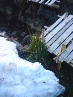 080321_1720~01.jpg