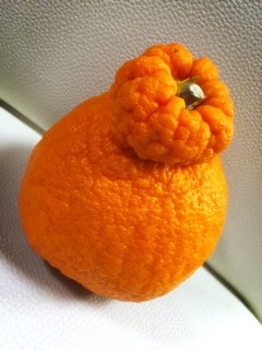 iPhoneImage.png