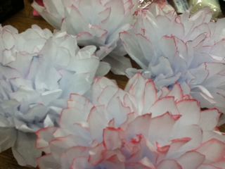 ふわふわお花