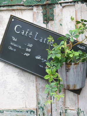 Cafe Latteカフェラテウォールポットワイド