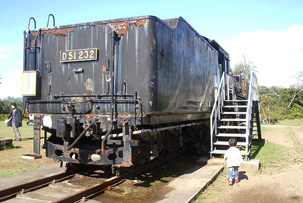 D51 232