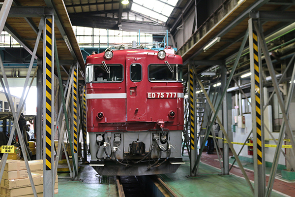 ED75