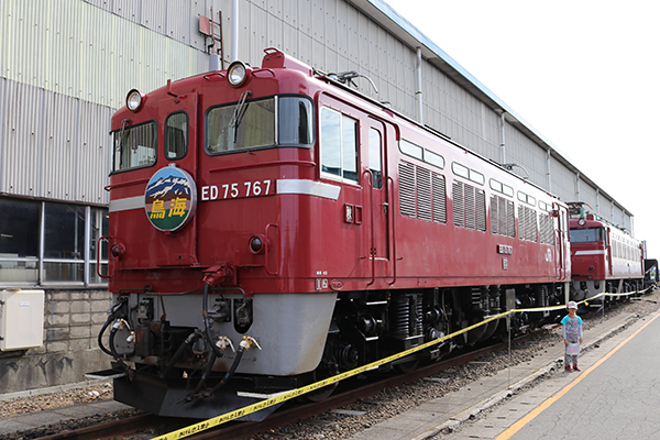 ED75