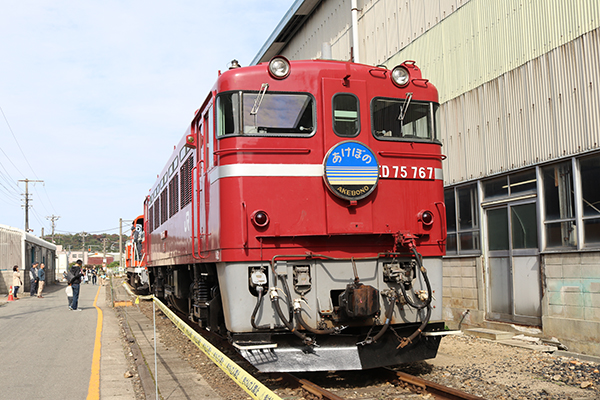 ED75