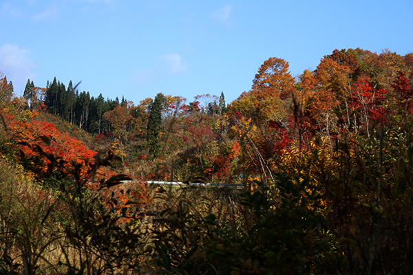 北上線の紅葉