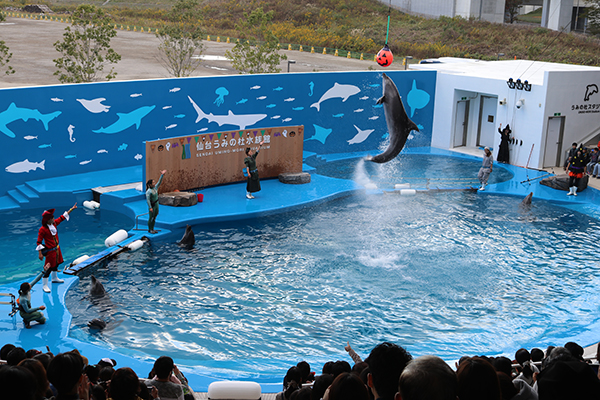うみの杜水族館