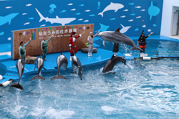 うみの杜水族館