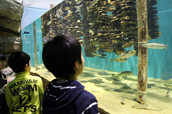 うみの杜水族館