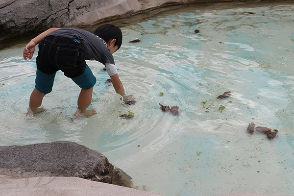 うみの杜水族館