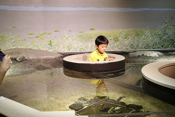 うみの杜水族館