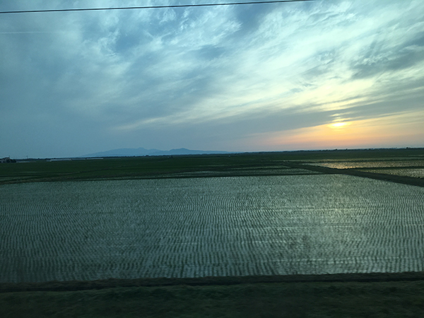 田んぼの夕陽